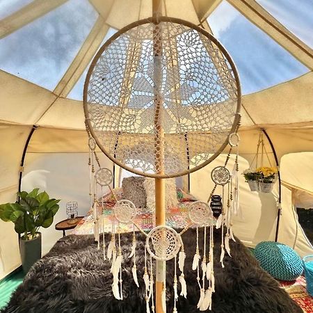 The Aries-A Stargazing, Luxury Glamping Tent Rogersville Екстериор снимка