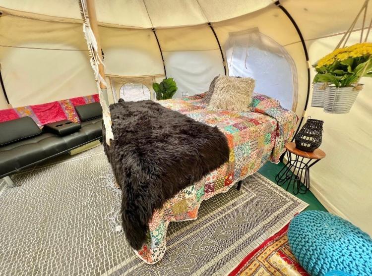 The Aries-A Stargazing, Luxury Glamping Tent Rogersville Екстериор снимка